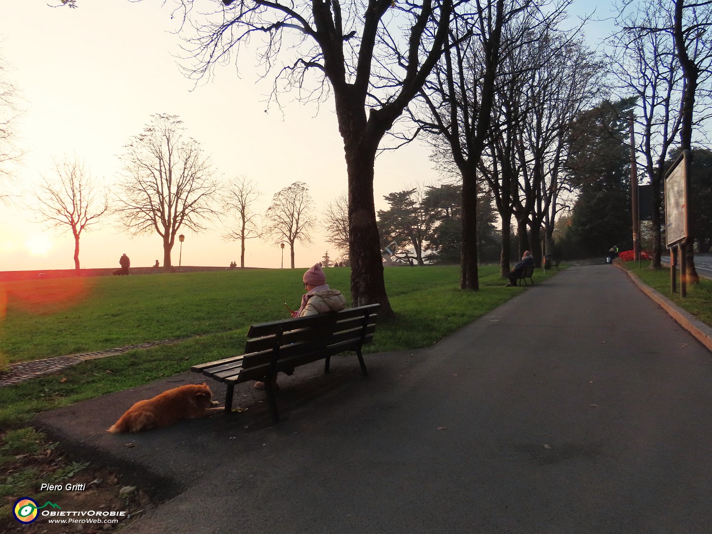 58 Viale delle mura venete alberato.JPG